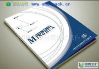 專業平面設計服務覆蓋廣州荔灣、白云、增城、南沙，助力企業畫冊設計